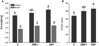 Transcriptome-Wide Identification of Differentially Expressed Genes in Solanum lycopersicon L. in Response to an Alfalfa-Protein Hydrolysate Using Microarrays